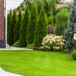 Back Yard Of A Private House