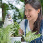 gardening home. woman replanting green tree in home garden. flowerpots as hobby and relax. plant sales, house garden, jungle, gardener, flower decoration, freelance, home jungle,Garden, Floral decor.