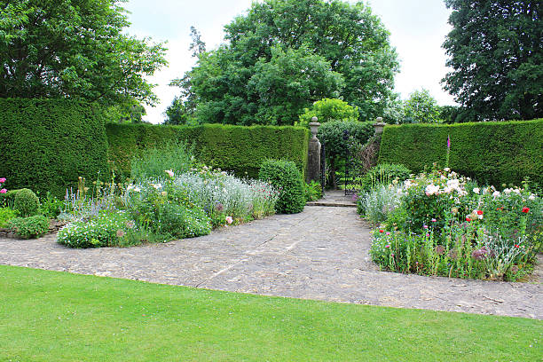 Photo showing a formal garden with a neatly clipped yew tree hedge (taxus baccata). In the centre of the hedge is an iron gate, while the foreground is softened with herbaceous plants, roses, evergreen shrubs and bushes. Crazy paving forms the pathway, which is edged by a recently mown green lawn of fine grass.