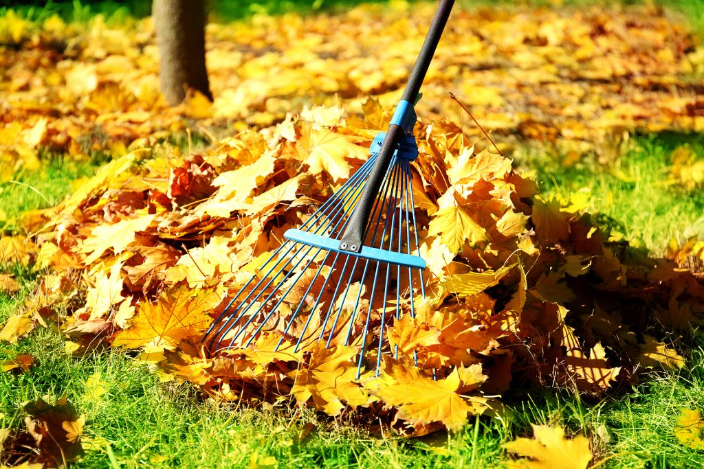 Fall Leaves Rking Is Your Garden Up To The Challenge Of The Autumn Season?